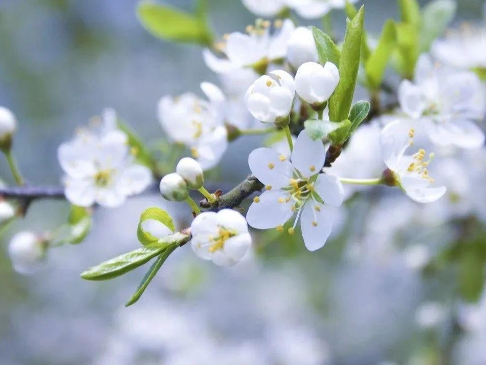 萬(wàn)源企業(yè)文化之— 一個(gè)籬笆三個(gè)樁  一個(gè)好漢三個(gè)幫